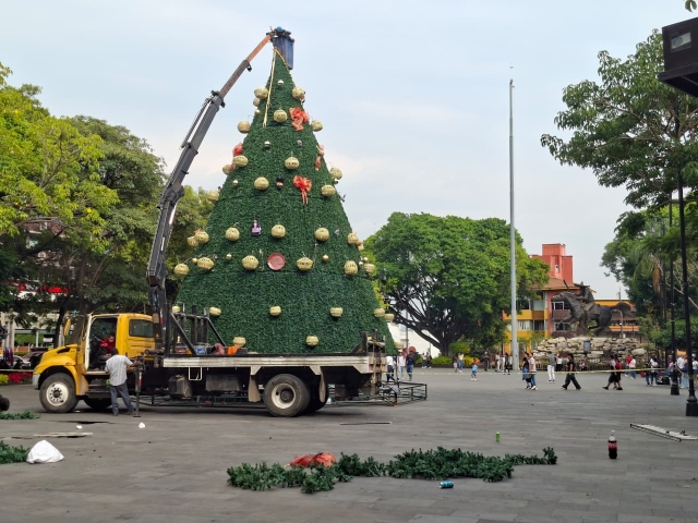 Colocan árbol de Navidad en plaza de armas capitalina