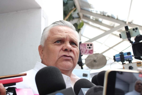 Estrategias políticas, no jurídicas 