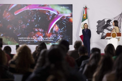 &ldquo;Este a&ntilde;o va a ser un muy buen a&ntilde;o en todos sentidos y particularmente en turismo&rdquo;, dijo la presidenta en su conferencia matutina de ayer.