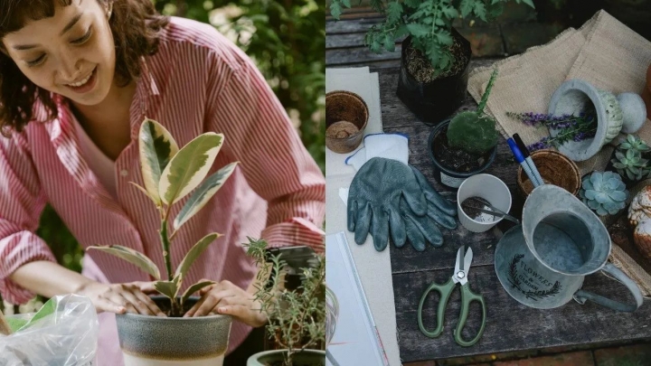 6 consejos de jardinería para principiantes