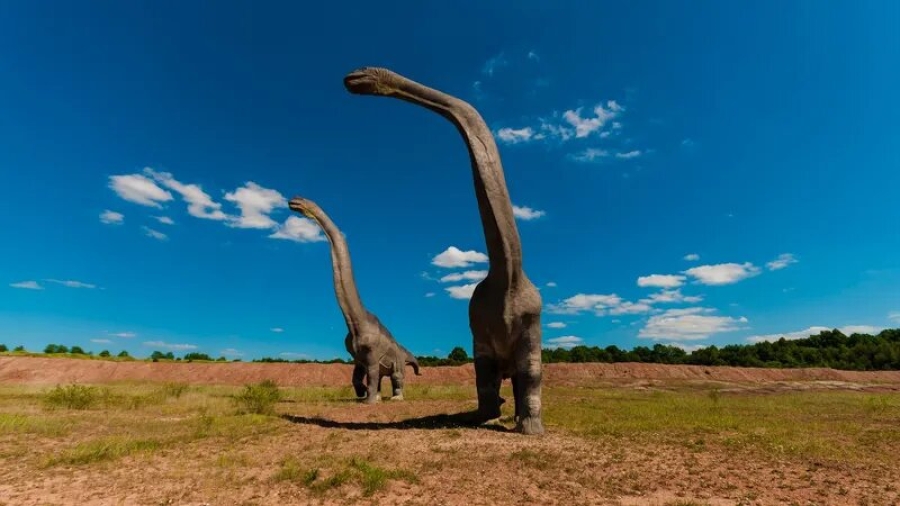 Había más mamíferos en la Tierra antes de la extinción de los dinosaurios