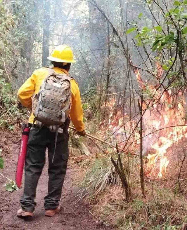 En el paraje “San Nicolás” se registra un incendio desde hace dos días.