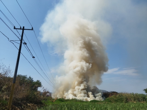 Incendio a orilla de carretera en libramiento a Galeana, en Zacatepec