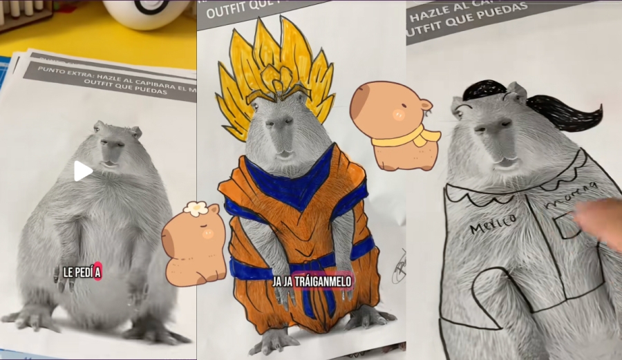 El 'capibara fashion' conquista redes y recibe elogios de la SEP y Mario Delgado
