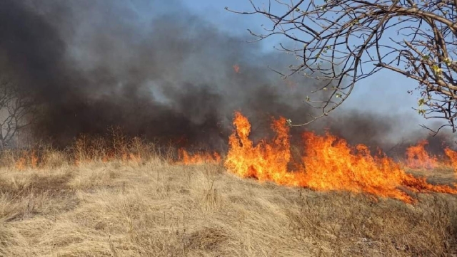 El incendio se propagó rápidamente debido a las condiciones de la zona.