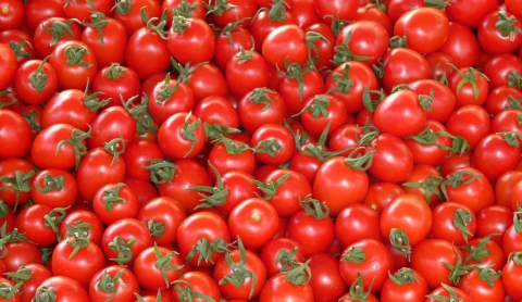 Impacto de la subida de aranceles a los jitomates mexicanos