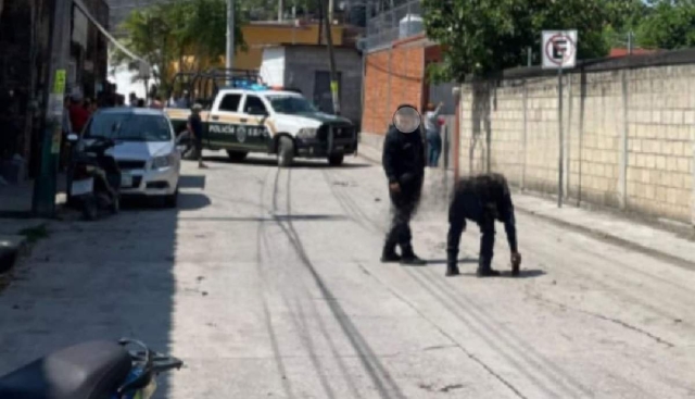 Las autoridades aclararon que el incidente no fue dirigido al plantel escolar ni a ning&uacute;n otro objetivo. El responsable se dio a la fuga.
