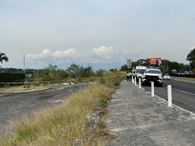 Los cuerpos de seguridad se limitaron a resguardar la zona.