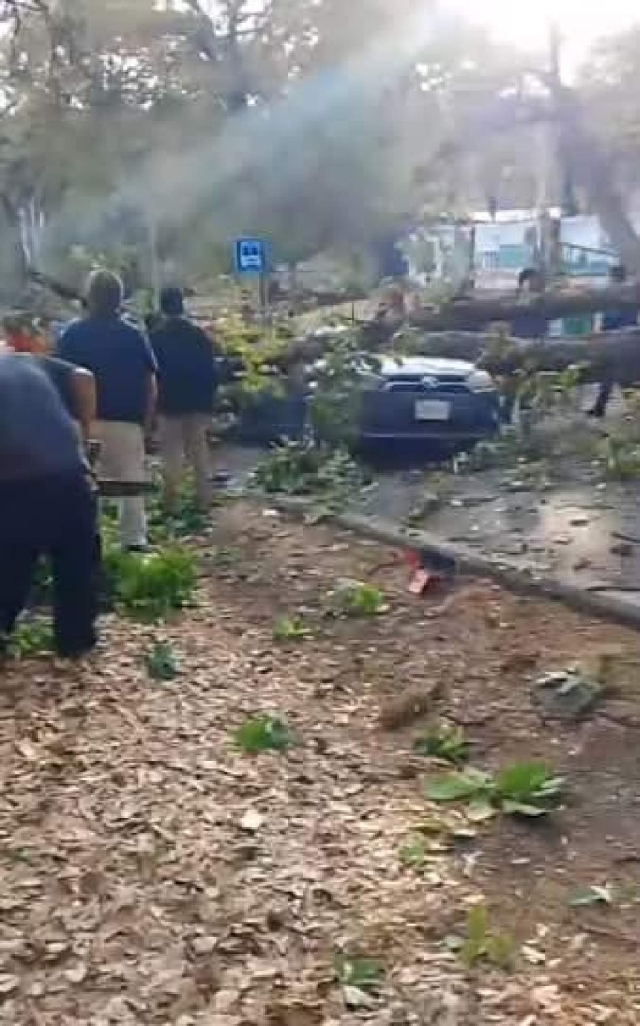 Vecinos de la zona ayudaron a liberar a las personas que quedaron atrapadas.