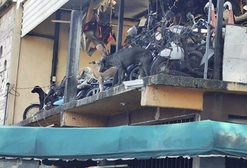 Crece indignaci&oacute;n en Cuautlixco tras ataques de jaur&iacute;a