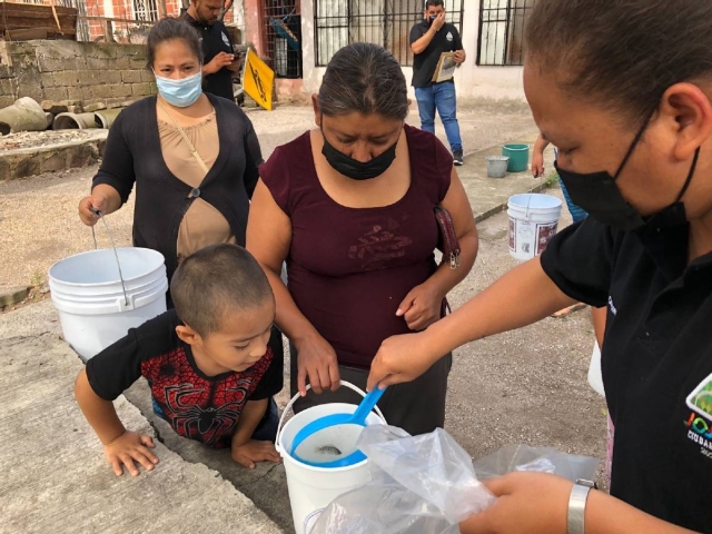 Autoridades entregaron tilapias a vecinos de colonias de Jojutla para reducir la reproducción del mosquito transmisor de tres enfermedades.