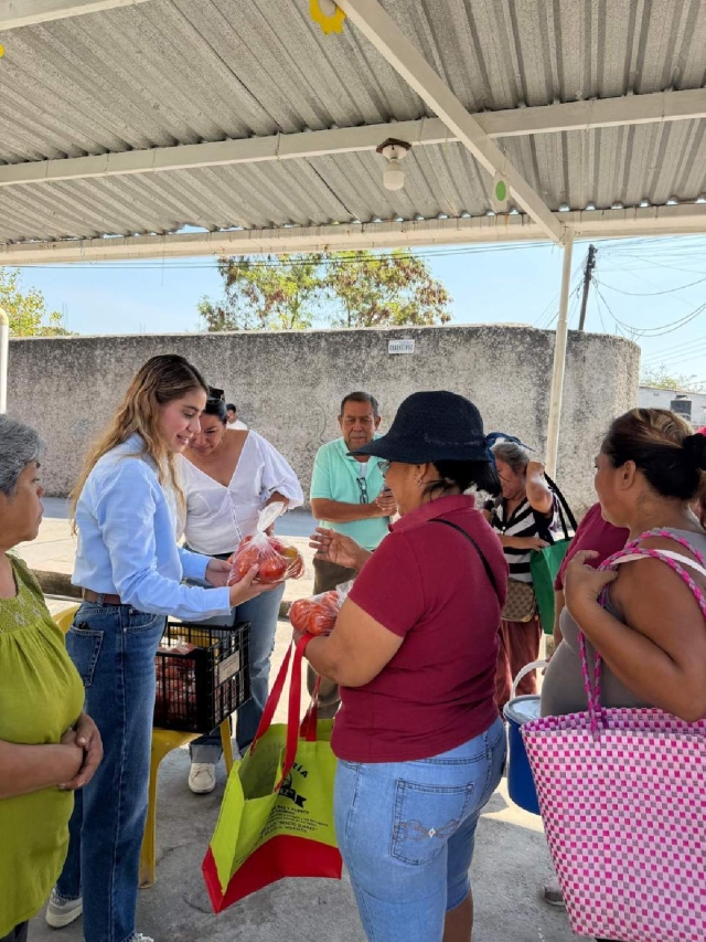 El objeto es llegar a todas las colonias que cuentan con poblaci&oacute;n vulnerable para apoyarlas en su bienestar.