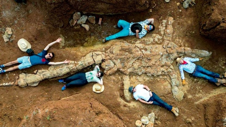 Hallan a un monstruo marino que vivió hace 100 millones de años