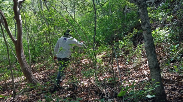 Localizan Comisión de Búsqueda de Personas y colectivos restos humanos en Cuernavaca