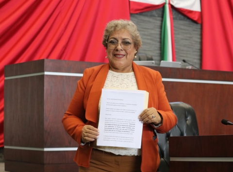 Proteger el bienestar emocional desde la infancia y reconocer la salud mental como un derecho humano, plantea diputada Ruth Rodríguez