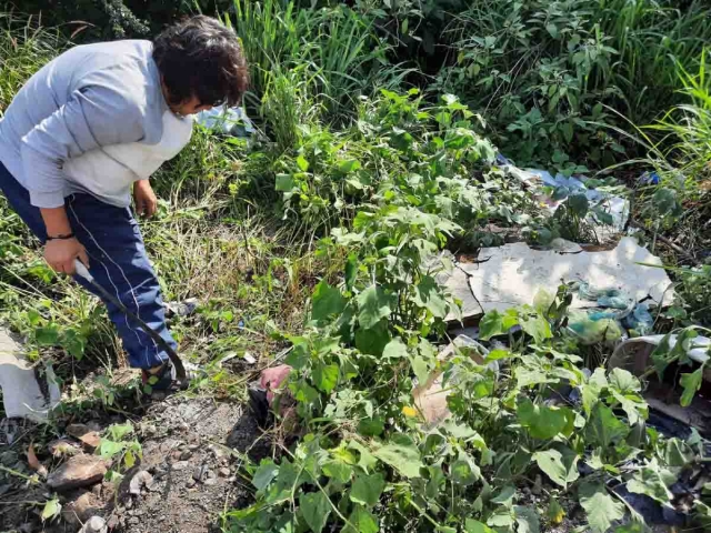 La organización civil deploró que la ciudadanía no sólo no colabora en reforestar, sino de manera inconsciente tira basura, daña el ambiente y afecta, como en este caso, la reforestación.