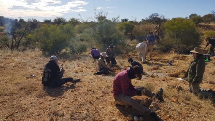 Hallan fósiles de dos marsupiales australianos de 25 millones de años