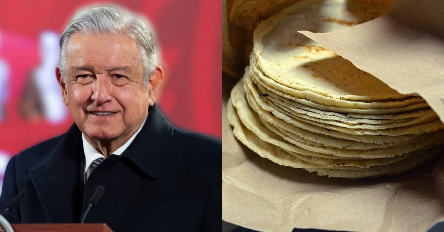 AMLO analiza abrir importación de maíz para bajar el precio de la tortilla.