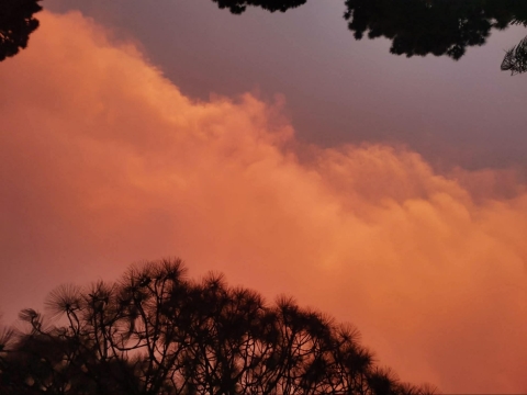 &iquest;Por qu&eacute; el cielo de Cuernavaca se pint&oacute; de naranja esta tarde?