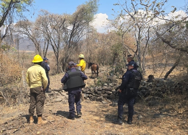 Detienen en flagrancia a presunto responsable de provocar incendio en zona forestal de Tepoztl&aacute;n