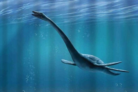 Fósiles de un reptil marino revelan nueva especie