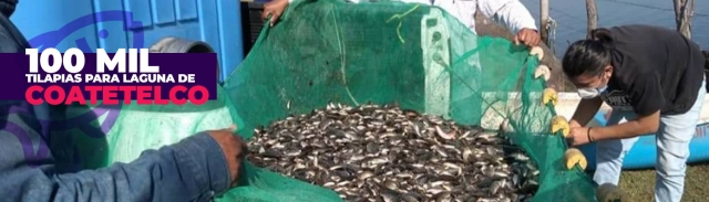 Las crías fueron adquiridas con productos de los propios pescadores.