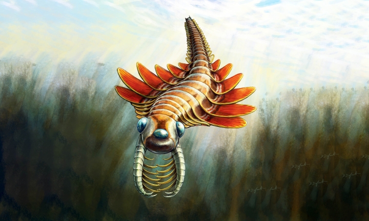 Imagen ilustrativa