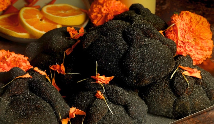 Lecaroz/Itzel Becerril