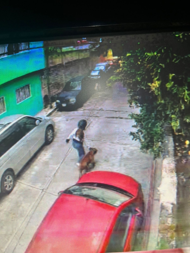 Graves lesiones recibió un niño atacado por un perro pitbull, en Jiutepec