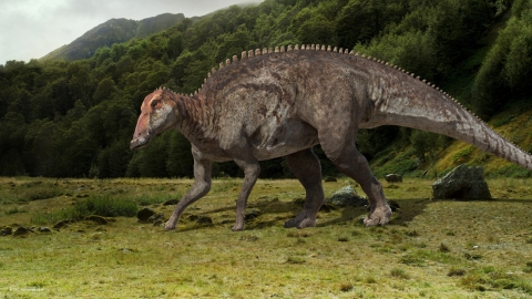 Identifican colágeno original en huesos de dinosaurio