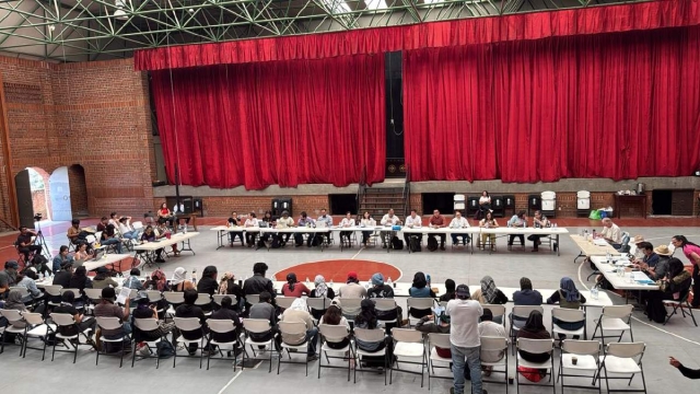 La Resistencia Estudiantil, &iquest;representa a toda la comunidad universitaria? 