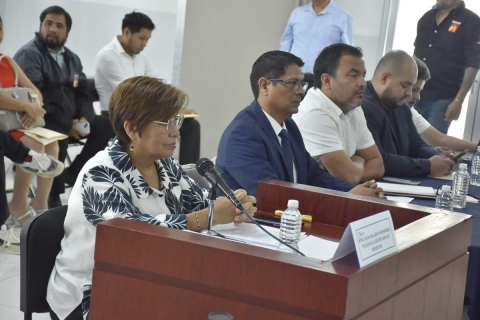 La secretaria de Bienestar, Silvia Salazar, inform&oacute; a diputados resultados de programas dirigidos a diversos sectores sociales y comunidades.  