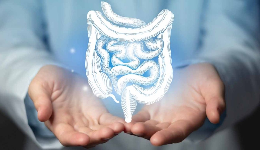 Cáncer colorrectal: ¿por qué cada vez más jóvenes lo padecen?