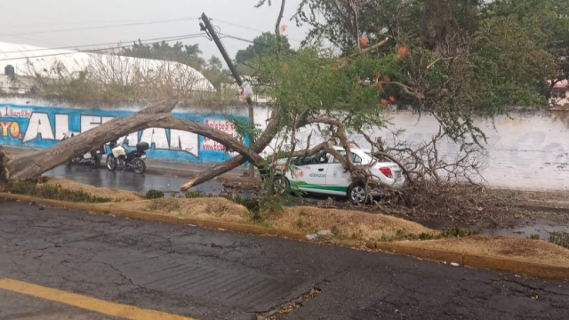 Se llevó el susto de su vida.