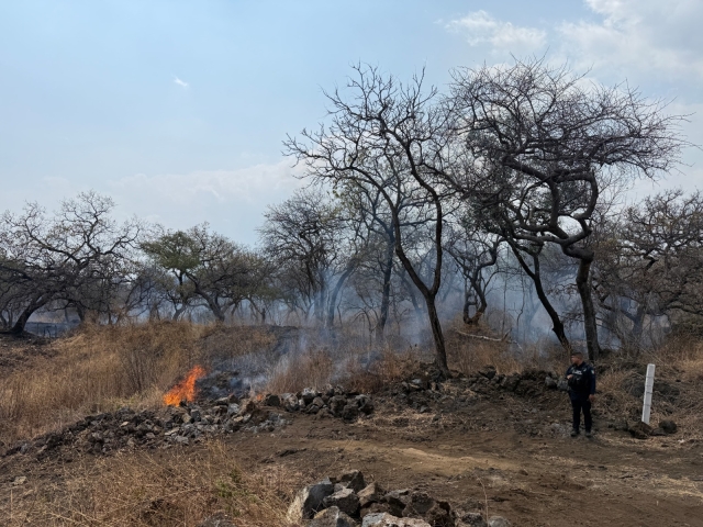 Detectan drones de SDS incendio provocado en Parque Nacional El Tepozteco