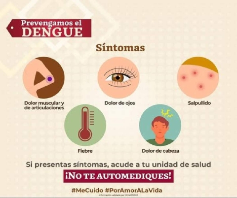 Las autoridades llamaron a no automedicarse y a protegerse de los mosquitos.