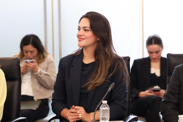 Andrea Ch&aacute;vez pide licencia al Senado por tiempo indefinido