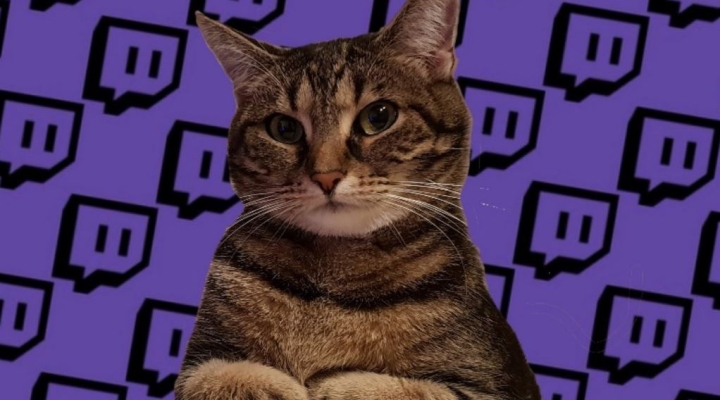 Twitch estrena categoría para los amantes de los animales