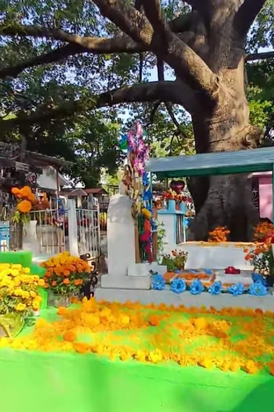 Reportan gran afluencia y saldo blanco en panteones del sur