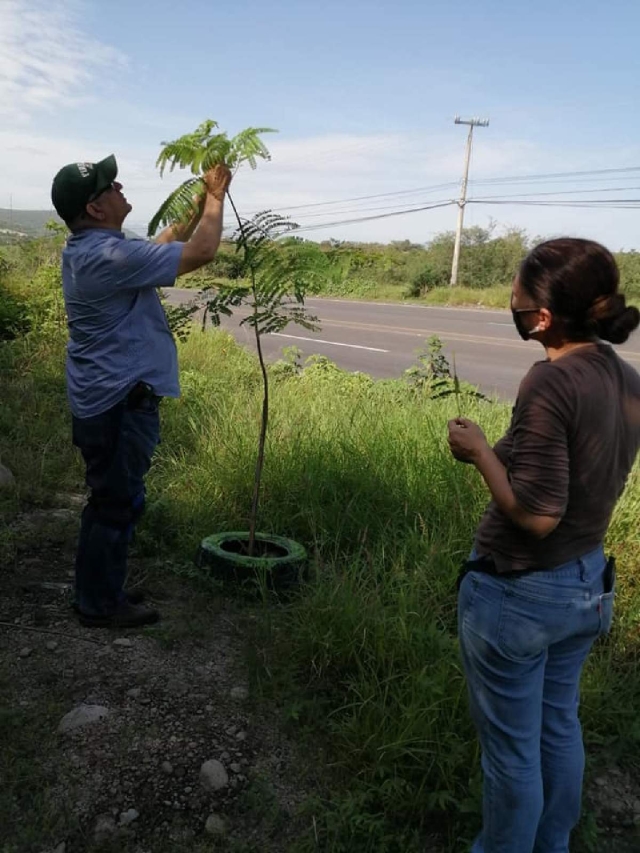 El grupo de ciudadanos busca mejorar el aspecto a la entrada de Zacatepec y el municipio ganará un corredor mejor definido. 