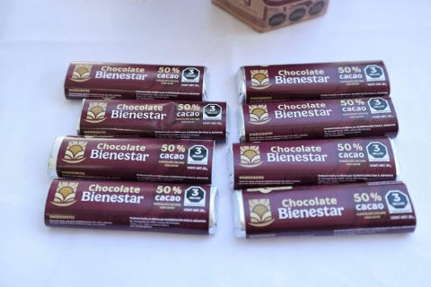 La marca del Bienestar: revisitando las políticas del siglo XX