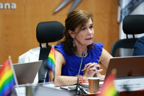 Representación a 30 diputados sería adecuada, indica presidenta del Impepac