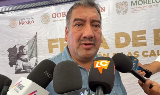 Corresponde a SICT dar mantenimiento o retirar &aacute;rboles en condici&oacute;n de riesgo, sostiene edil de Huitzilac