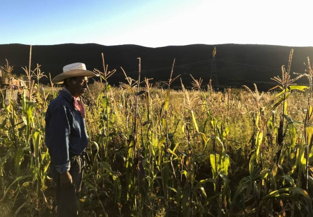 ONU declara como derecho el acceso a un medio ambiente limpio y saludable