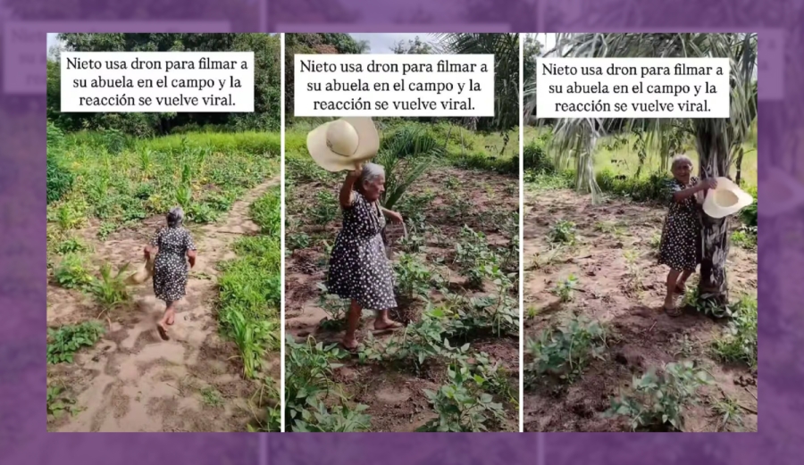 '¡Corre, abuela, corre!' Dron asusta a mujer en el campo y video se vuelve viral