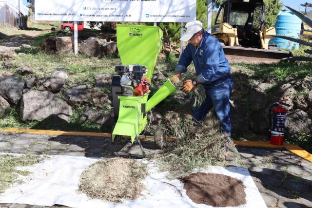 Invita UAEM a participar en la campa&ntilde;a de acopio de &aacute;rboles de Navidad 2025