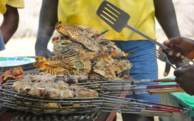 Zanzíbar: Mueren 9 personas tras comer carne de tortuga; 8 eran niños