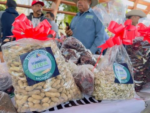 El programa federal proporcionará los productos directos del productor, incluidos de “Sembrando Vida”, que se ofertarán a bajo costo.