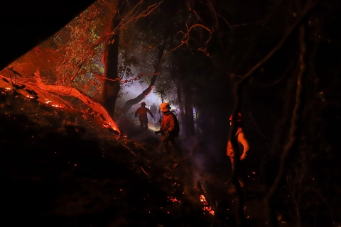 Implementa CEPCM despliegue operativo en zona de incendio forestal en Santo Domingo