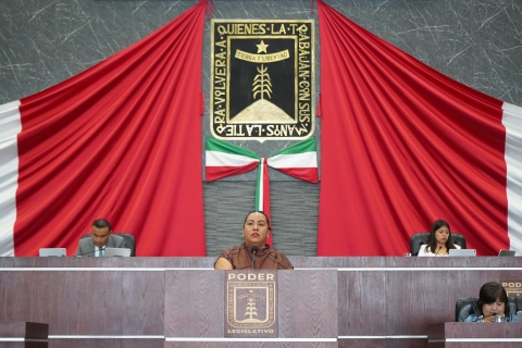 Propone Jazm&iacute;n Solano reformas para incluir los bastones blanco y verde en beneficio de la discapacidad visual